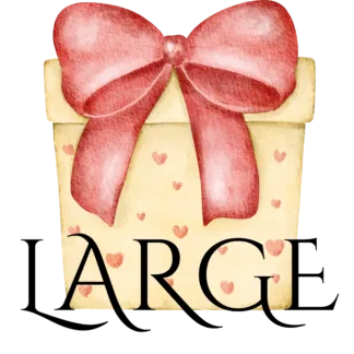 Large Valentine Mystery Gift