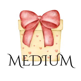 Medium Valentine Mystery Gift