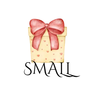 Small Valentine Mystery Gift